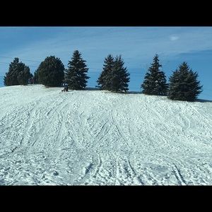 Meet your Posher, Sue